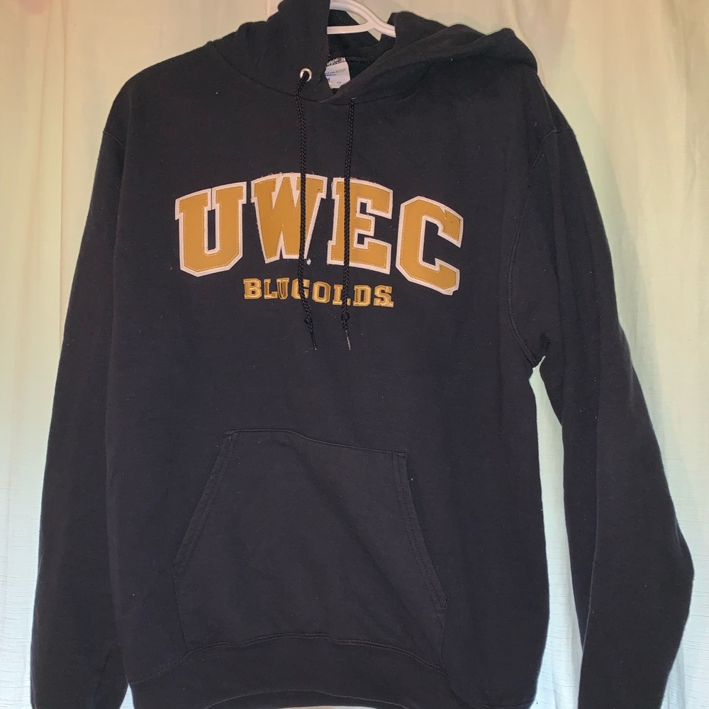 Champion Wisconsin Eau Claire hoodie